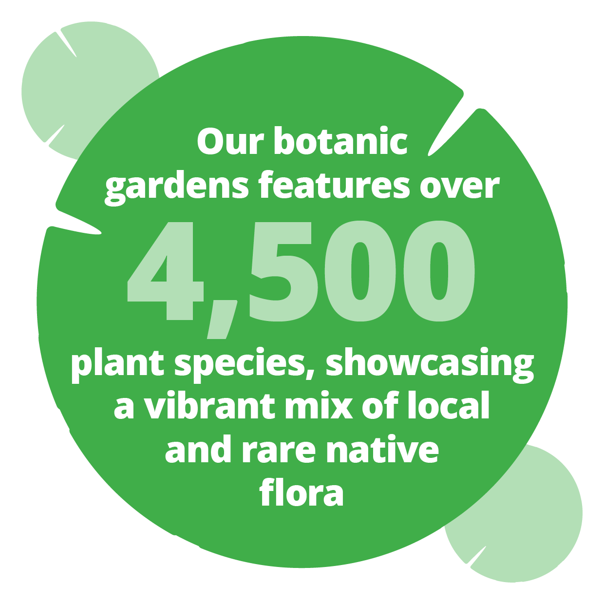 Our botanic gardens features over 4500 plant species